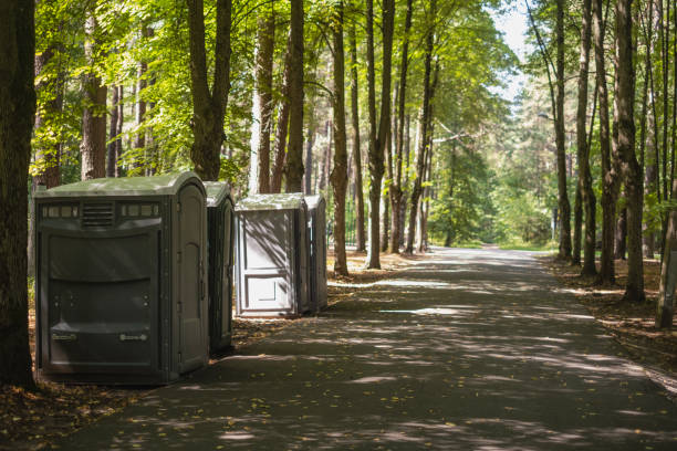 Trusted Lemay, MO porta potty rental Experts